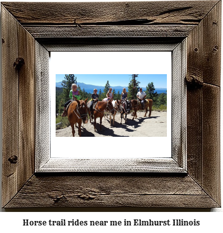 horse trail rides near me in Elmhurst, Illinois